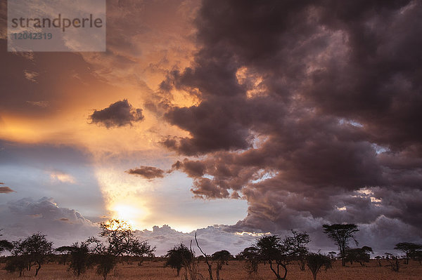 Wolken über der Savanne zu Beginn der Regenzeit  Tsavo  Kenia  Ostafrika  Afrika