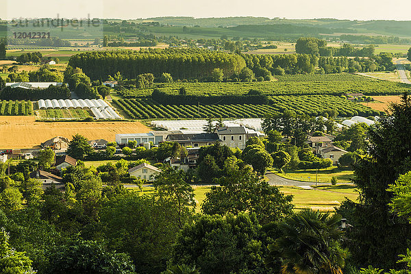 Blick auf Felder  Obstplantagen und Polytunnels im Sommer von dieser bedeutenden Stadt auf einem Hügel aus  Duras  Lot-et-Garonne  Frankreich  Europa