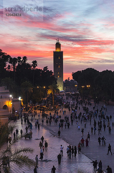 Blick auf das Koutoubia-Minarett bei Sonnenuntergang vom Djemaa el Fna  Marrakesch  Marokko  Nordafrika  Afrika