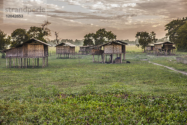 Hütten des Miching-Stammes im Dorf Dhapak auf der Insel Majuli  gebaut in der Höhe  um eine mögliche Überschwemmung des Brahamaputra während des Monsuns zu vermeiden  Assam  Indien  Asien