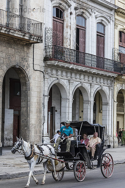 Von Pferden gezogene Karren  die in Havanna  Kuba  Westindien und Mittelamerika als coches bezeichnet werden