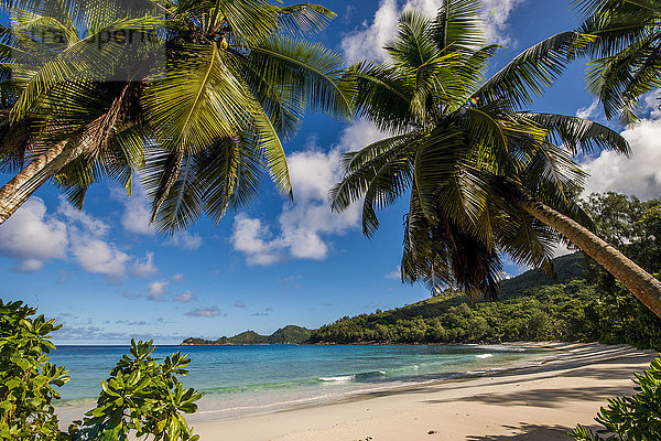 Petit Police Bay Beach  Mahe  Republik Seychellen  Indischer Ozean  Afrika
