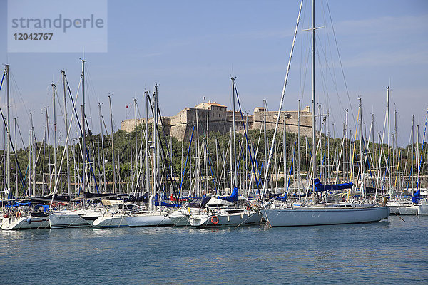 Fort Carre  Port Vauban  Hafen  Antibes  Côte d'Azur  Französische Riviera  Provence  Frankreich  Mittelmeer  Europa