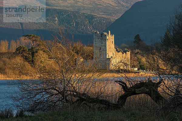 Ross Castle  Killarney National Park  Grafschaft Kerry  Munster  Republik Irland  Europa