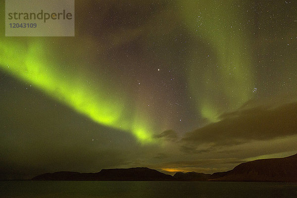 Aurora Borealis (Nordlicht)  Grundafjordur  Snaefellsnes-Halbinsel  Island  Polarregionen