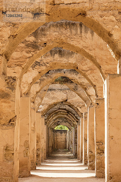 Gewölbe im Inneren von Hri Souani  den königlichen Ställen von Moulay Ismail  Meknes  Marokko  Nordafrika  Afrika