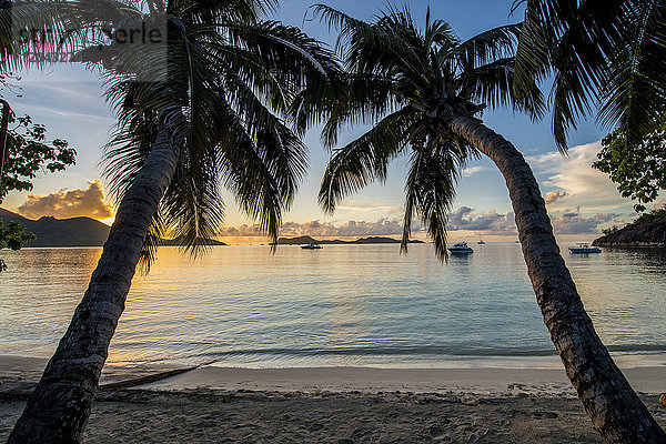 Strand Anse Government  Praslin  Republik Seychellen  Indischer Ozean  Afrika