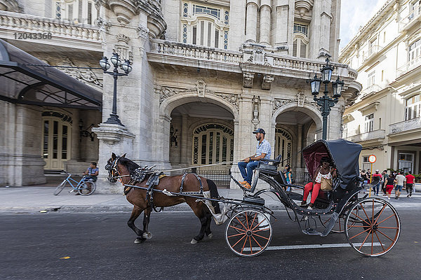 Von Pferden gezogene Karren  die in Havanna  Kuba  Westindien und Mittelamerika als coches bezeichnet werden
