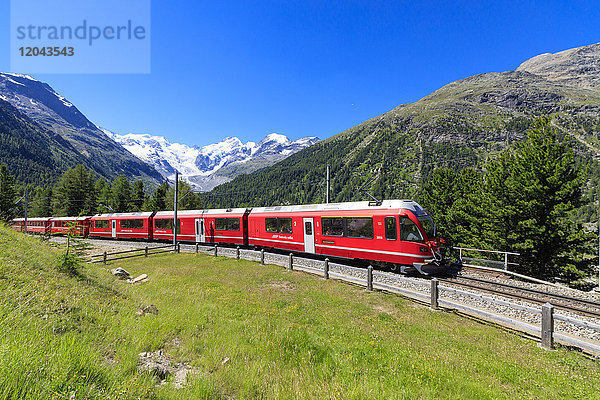 Der Bernina Express Zug in Morteratsch im Sommer  Engadin  Kanton Graubünden  Schweiz  Europa
