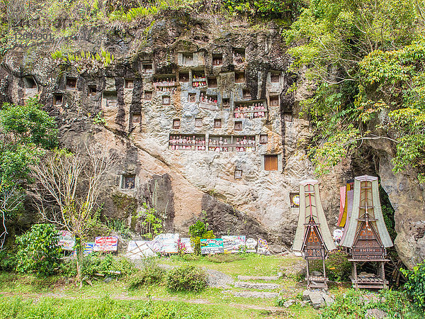 An dieser Grabklippe werden Beileidsbekundungen von vergangenen Beerdigungen und Sargträger in Form traditioneller Torajan-Häuser unter den Gruften und Tao-Taos hinterlassen  Tana Toraja  Sulawesi  Indonesien  Südostasien  Asien