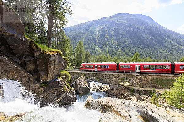 Bernina Express Zug neben Alpenbach  Morteratsch  Engadin  Kanton Graubünden  Schweiz  Europa