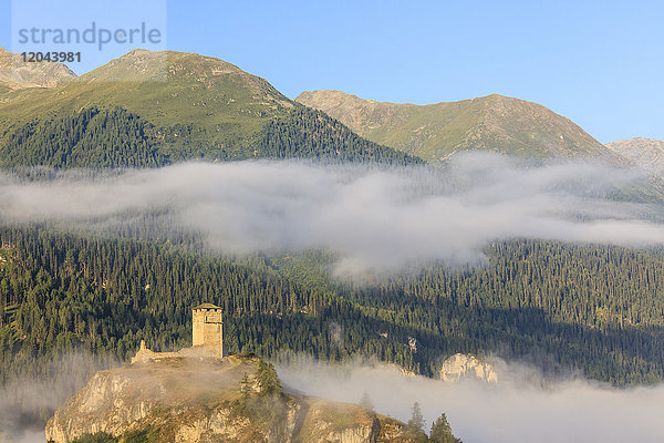Turm der Burg Steinsberg umrahmt von Wald  Ardez  Kanton Graub?nden  Kreis Inn  Unterengadin  Schweiz  Europa