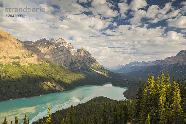 Weite Sicht auf den Peyto Lake  Banff National Park  UNESCO-Weltkulturerbe  Alberta  Rocky Mountains  Kanada  Nordamerika