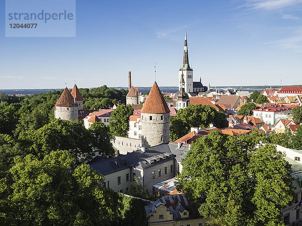 Blick auf das Stadtbild von der Aussichtsplattform Patkuli  Altstadt  UNESCO-Weltkulturerbe  Tallinn  Estland  Baltikum  Europa