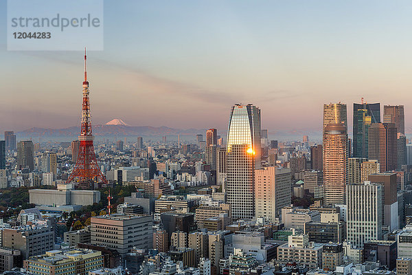 Abendlicher Blick auf die Skyline der Stadt und den ikonischen Tokyo Tower  Tokio  Japan  Asien
