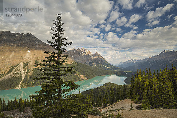 Weite Sicht auf den Peyto Lake  Banff National Park  UNESCO-Weltkulturerbe  Alberta  Rocky Mountains  Kanada  Nordamerika
