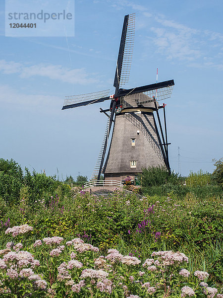 Windmühle  Kinderdijk  UNESCO-Welterbe  Niederlande  Europa