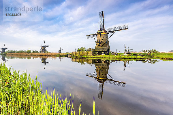 Windmühlen  die sich im Kanal spiegeln  und Gras im Vordergrund  Kinderdijk  UNESCO-Weltkulturerbe  Gemeinde Molenwaard  Provinz Südholland  Niederlande  Europa