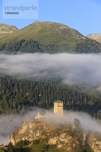 Turm der Burg Steinsberg umrahmt von Wald  Ardez  Kreis Inn  Unterengadin  Kanton Graubünden  Schweiz  Europa