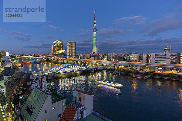 Skyline der Stadt und Skytree auf dem Sumida-Fluss  Tokio  Japan  Asien