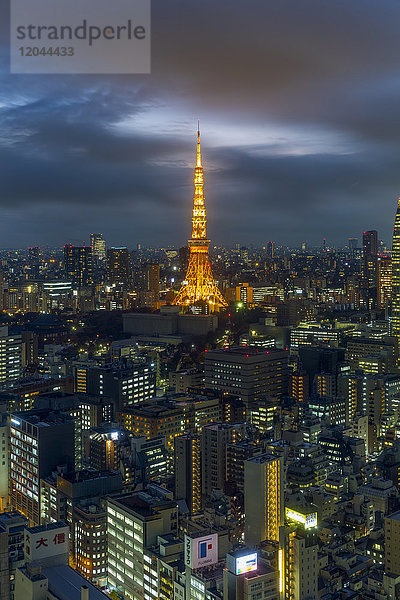 Nachtansicht der Skyline der Stadt und des ikonischen beleuchteten Tokyo Tower  Tokio  Japan  Asien