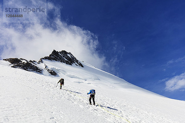 Bergsteiger auf dem Dom 4535m  Zermatt  Wallis  Schweizer Alpen  Schweiz  Europa