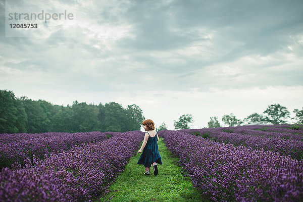 Kleinkind zwischen Reihen von Lavendel  Campbellcroft  Kanada