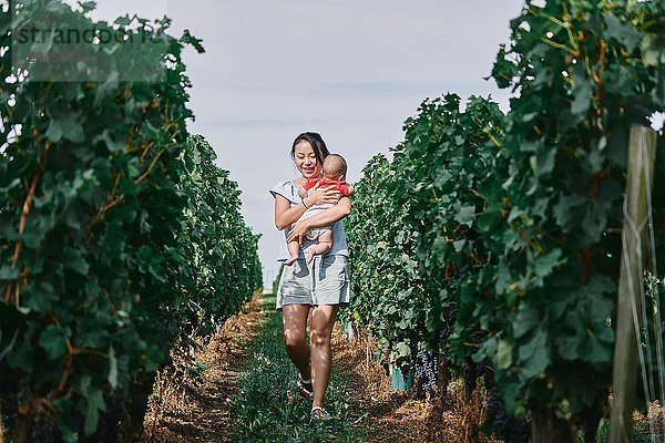 Frau  die ein Mädchen durch einen Weinberg trägt  Bergerac  Aquitaine  Frankreich