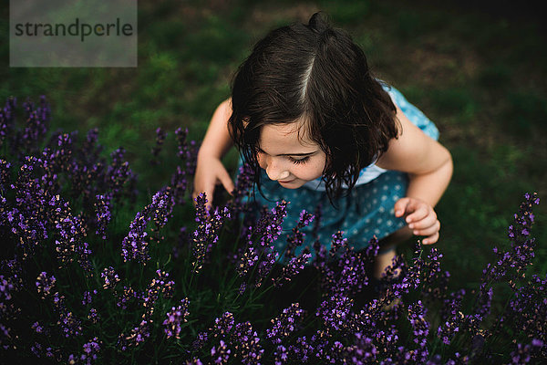 Mädchen unter Lavendel