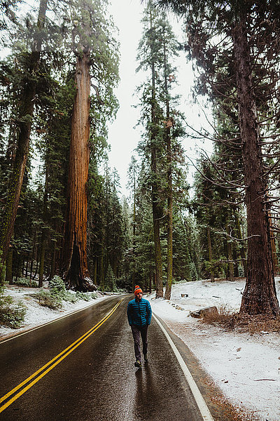 Junger männlicher Wanderer wandert entlang einer Landstraße im verschneiten Sequoia-Nationalpark  Kalifornien  USA