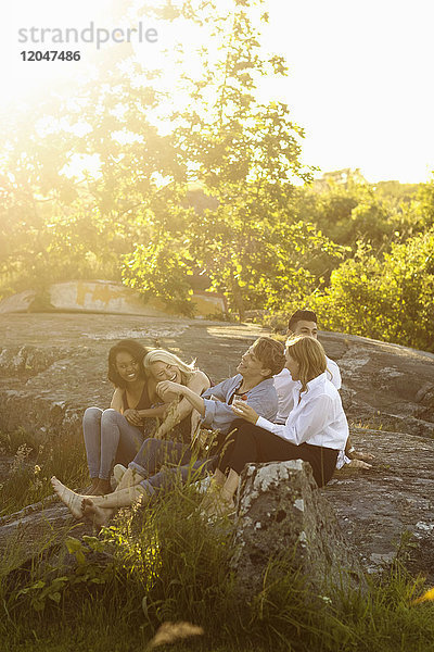 Fröhliche Freunde sitzen an sonnigen Tagen auf einer Felsformation gegen Bäume.