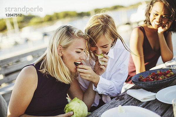 Junge Frau sieht fröhliche blonde Freunde an  die am Picknicktisch Kohl teilen.