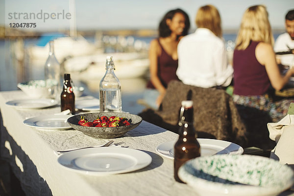 Früchte mit Tellern und Flaschen auf dem Tisch gegen Freunde im Hafen bei Sonnenschein