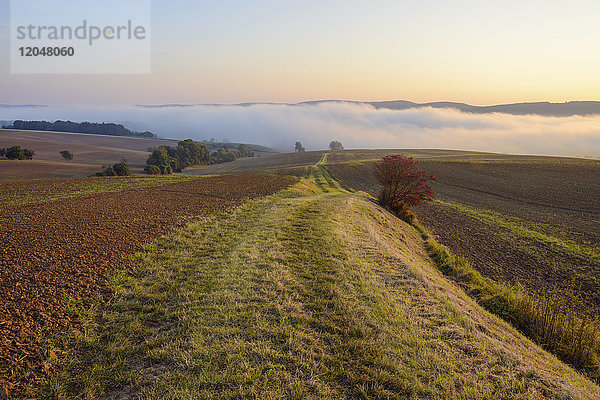 Landschaft mit Weg und Morgennebel über Feldern bei Großheubach in Bayern  Deutschland