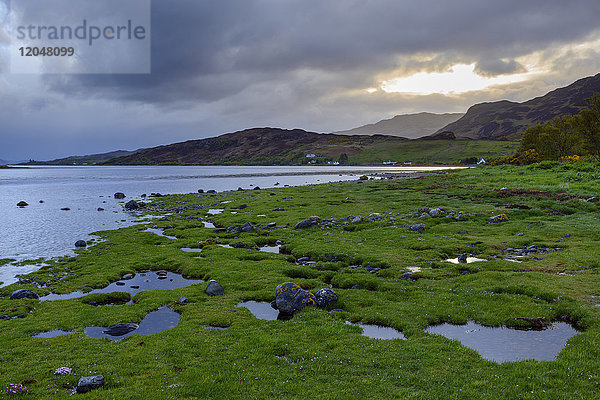 Grasbewachsenes Ufer bei Sonnenaufgang an der schottischen Küste in der Nähe von Eilean Donan Castle und Kyle of Lochalsh in Schottland  Vereinigtes Königreich