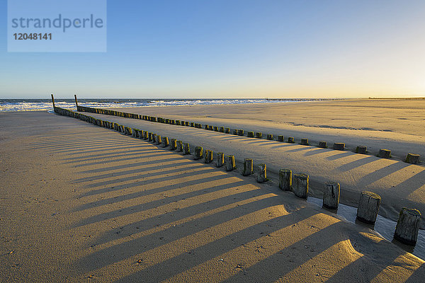 Hölzerner Wellenbrecher am Sandstrand bei Ebbe  Domburg  Nordsee  Zeeland  Niederlande