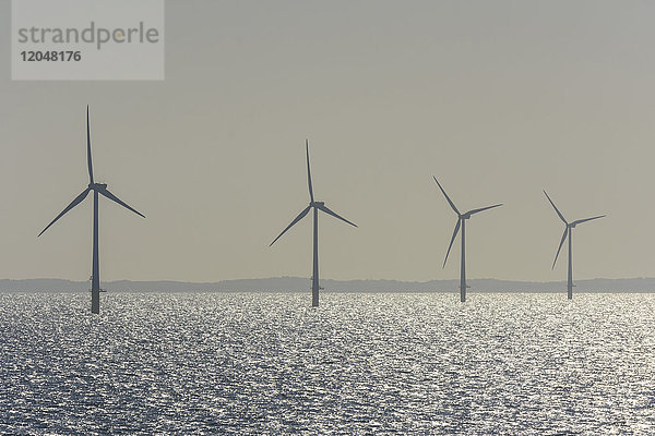 Offshore-Windkraftanlagenpark mit Sonnenschein auf der Nordsee an einem dunstigen Morgen  Vereinigtes Königreich