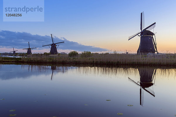 Windmühlen in der Morgendämmerung  Kinderdijk  Südholland  Niederlande
