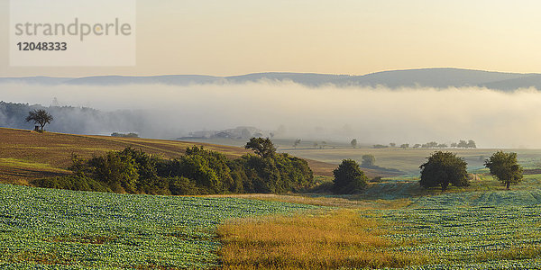 Landschaft mit Morgennebel über den Feldern in Großheubach mit den Hügeln des Spessarts im Hintergrund in Bayern  Deutschland