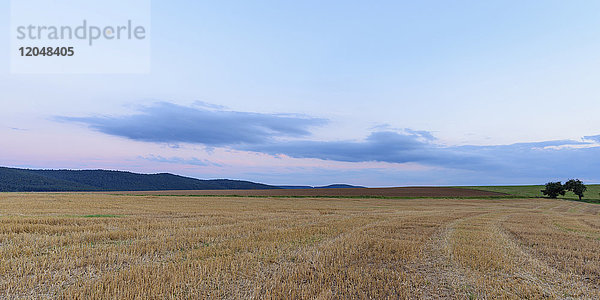 Abgeerntetes Getreidefeld in der Abenddämmerung im Sommer bei Röllbach im Spessart in Bayern  Deutschland
