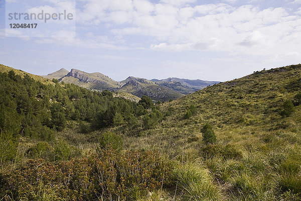 Bethlem  Mallorca  Spanien