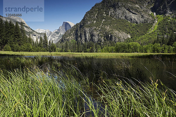 Half Dome im Yosemite-Nationalpark in Kalifornien  USA