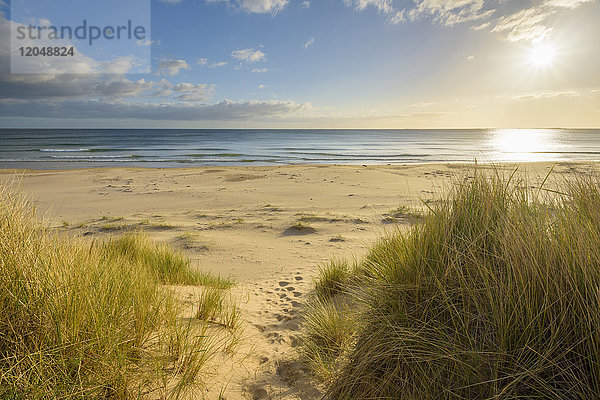 Pfad durch Sanddünen bei Sonnenaufgang über der Nordsee in Bamburgh in Northumberland  England  Vereinigtes Königreich