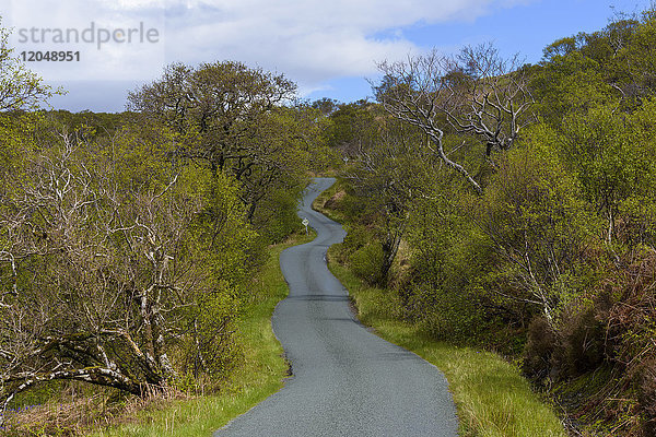 Kurvenreiche einspurige Straße durch die Landschaft im Frühling auf der Isle of Skye in Schottland  Vereinigtes Königreich