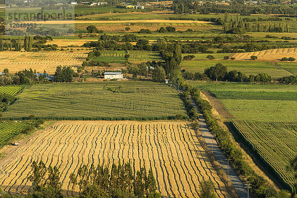 Getreidefelder und landwirtschaftliche Betriebe in der Region del Maule in Südchile