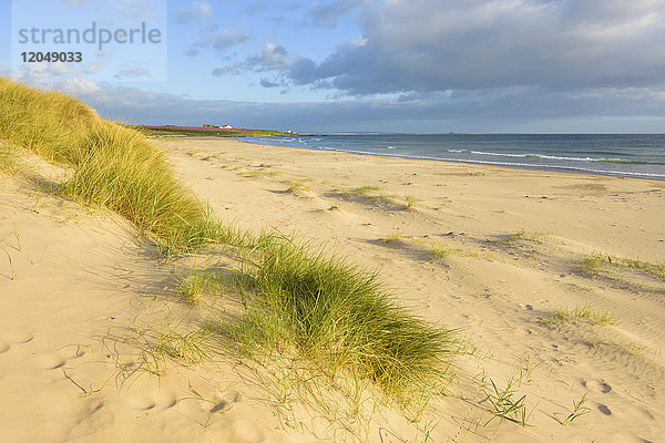 Sanddünen am Strand von Bamburgh mit der Nordsee im Hintergrund in Northumberland  England  Vereinigtes Königreich