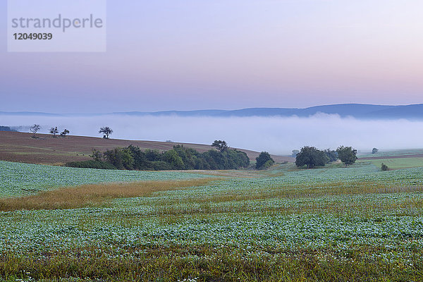 Landschaft mit Morgennebel in der Morgendämmerung über Feldern in Großheubach in Bayern  Deutschland