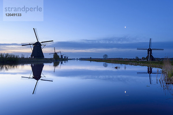 Windmühlen in der Morgendämmerung mit Mond  Kinderdijk  Südholland  Niederlande