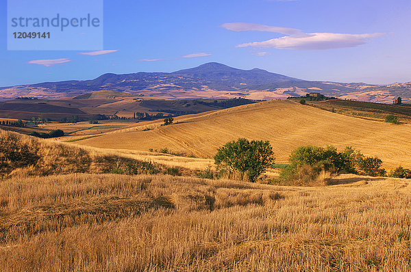 Überblick über die ländliche Landschaft im Val d'Orcia in der Provinz Siena in der Toskana  Italien