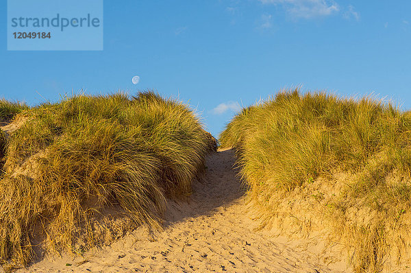 Pfad durch Sanddünen und Mond im hellen Morgenhimmel an der Nordsee  Bamburgh in Northumberland  England  Vereinigtes Königreich